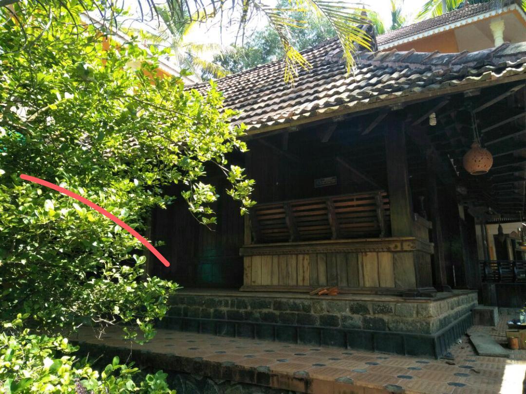 Thriphala Ayurveda Yogashram Apartment Thiruvananthapuram Екстериор снимка