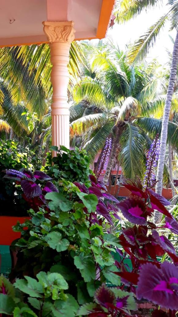 Thriphala Ayurveda Yogashram Apartment Thiruvananthapuram Екстериор снимка